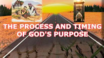 Boa Obras, Instagram Why is 'The process and timing of God's purpose' important?