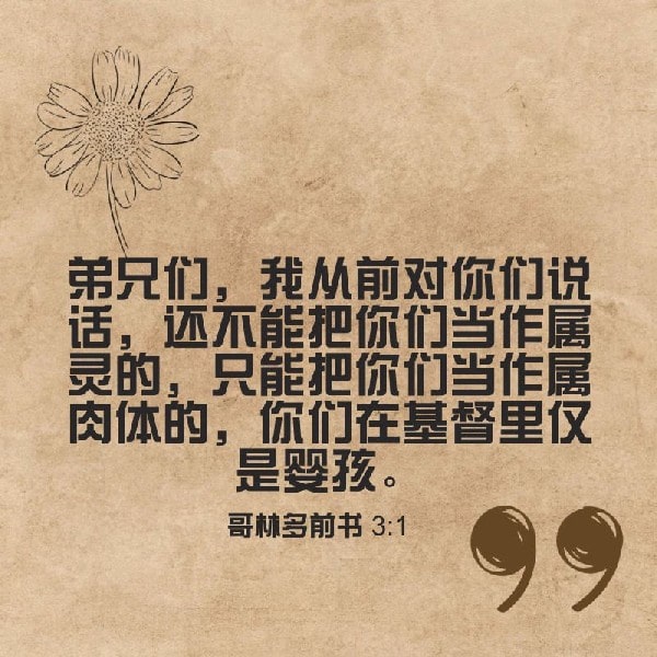 1 Corinthians 3:1