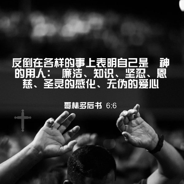 2 Corinthians 6:6